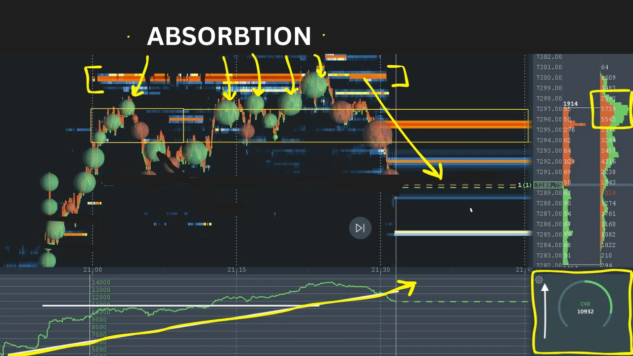 Order book heatmap showing a large resting order absorbing aggressive selling at a level.
